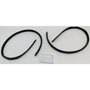 1966-67 Ford Ranchero Restoration Parts Window Run Channel Kit - Part ...