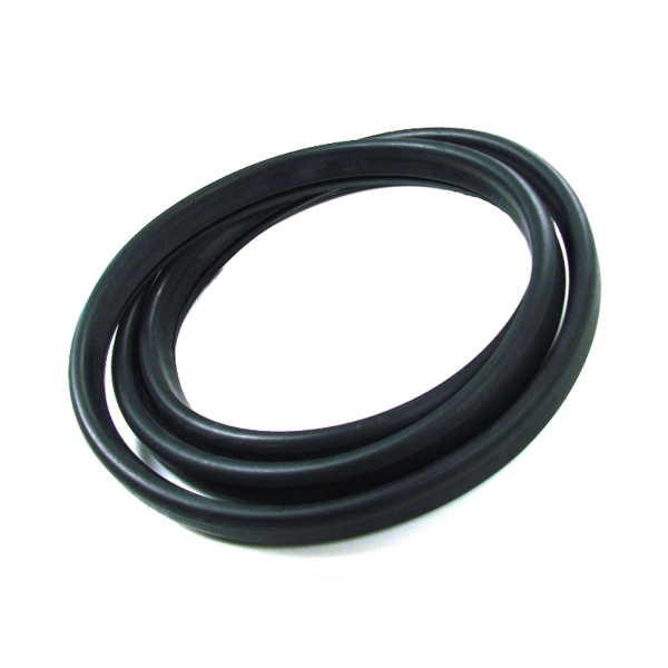 Dennis Carpenter - Back Window Seal