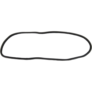 Windshield Seal