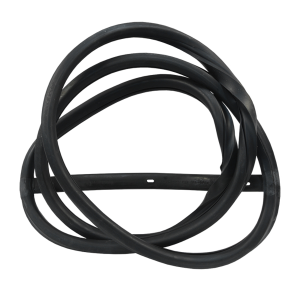 Windshield Seal