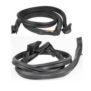 T-Top Seal - On Body