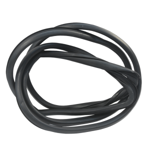 Windshield Seal