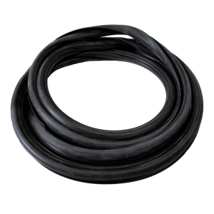Windshield Seal