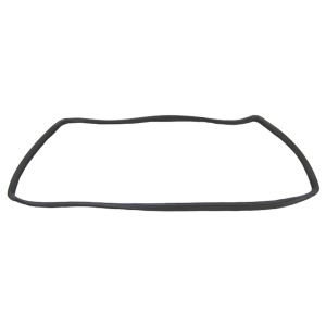 Windshield Seal