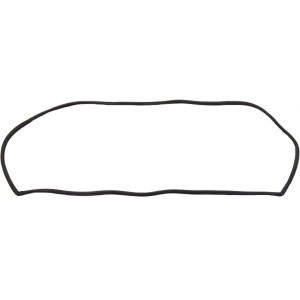 Windshield Seal
