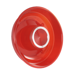 Taillight Lens
