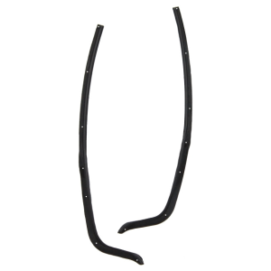 Rear Door Lock Striker Seal