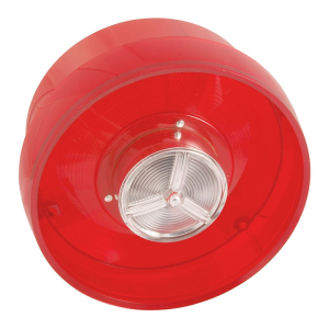 Taillight Lens With FoMoCo Script