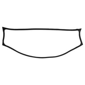 Windshield Seal