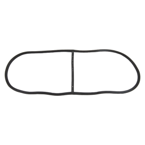 Windshield Seal