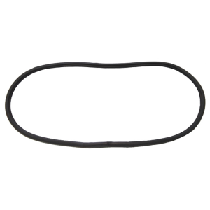 Back Window Seal