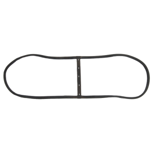 Windshield Seal